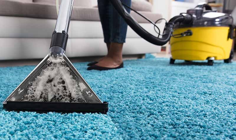 Prevent carpet mold after water damage
