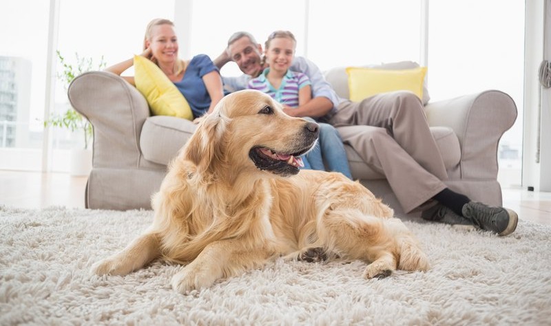 family sitting on a couch and a dog is laying on a carpet