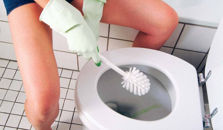 Woman washing toilet bowl with a white brush.