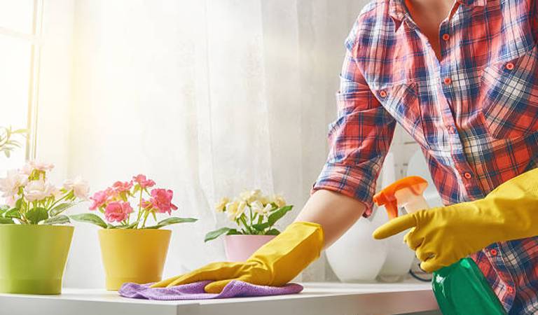 Woman in red check shirt holding green bottle in her hand and scrubbing a table with cloth