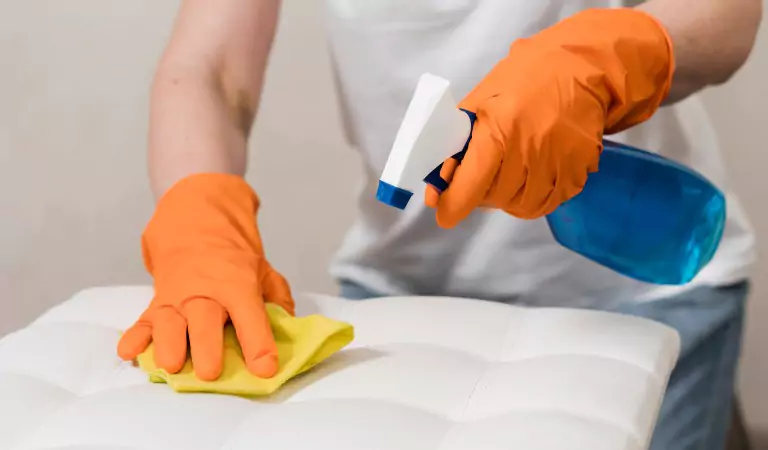 cropped picture of a person cleaning a couch