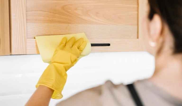 Woman cleaning furniture