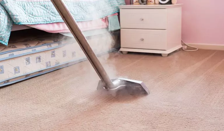 cropped picture of a person using a steam cleaner