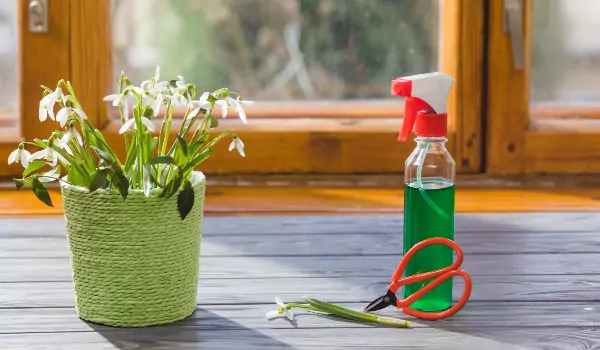 DIY Herbs Infused All Purpose Cleaner for home cleaning