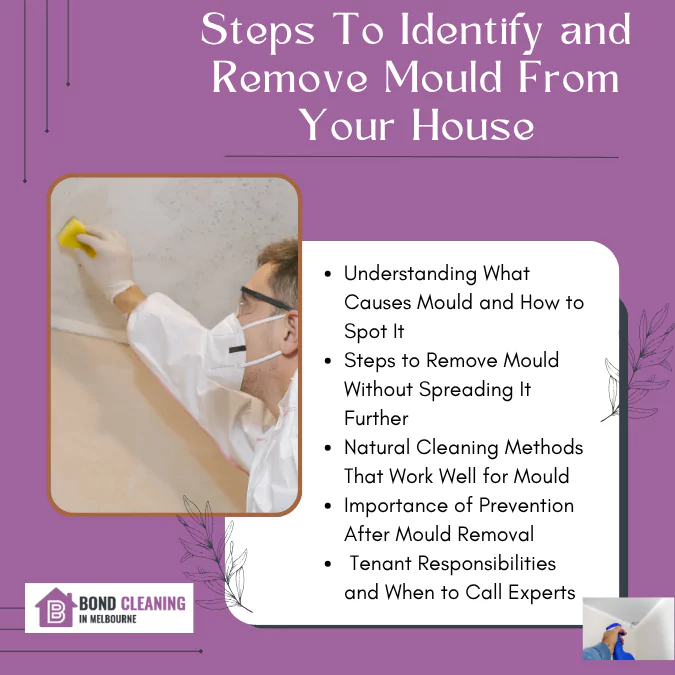Identify And Remove Mould From Your Home