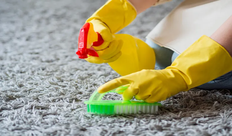 deep cleaning carpet