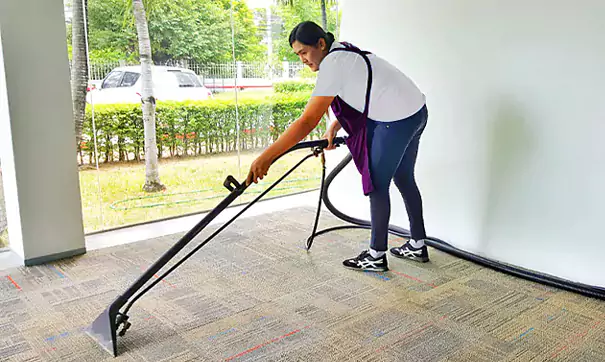 Carpet Cleaning Customization