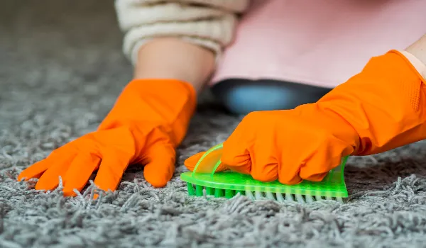 Close-up hands brushing carpet