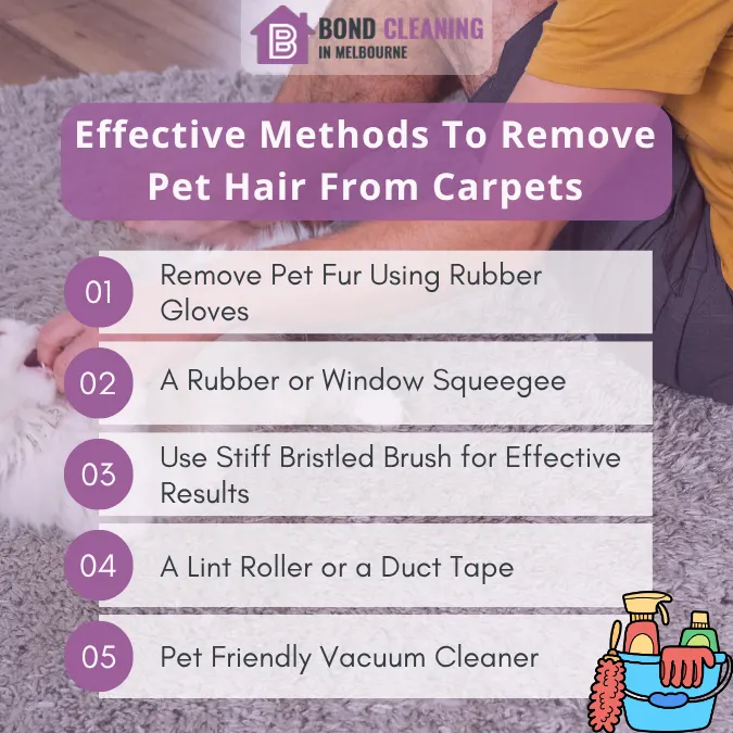Effective Methods To Remove Pet Hair From Carpets