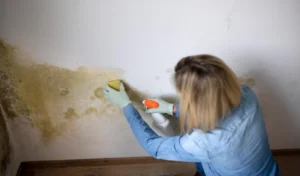 A woman with mouth nose mask cleans mould from dirty apartment wall person