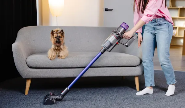 Young woman vacuuming at home with a cordless vacuum cleaner while her dog watches